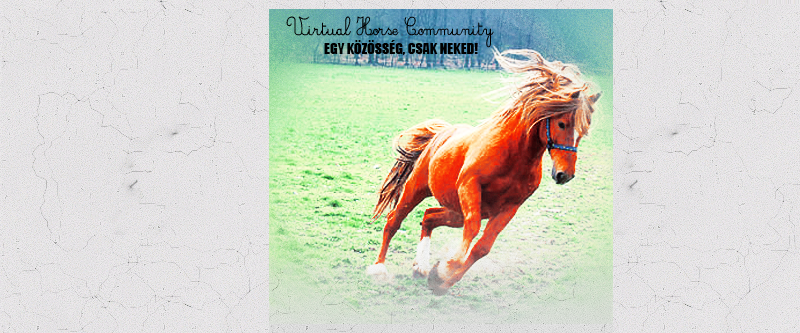 ● Virtual Horse Community